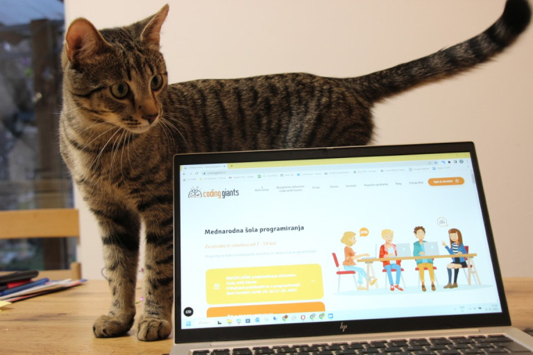 Coding Giants Lojzek - naš kosmati član ekipe